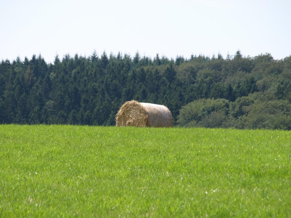 Alte Forsthaus *