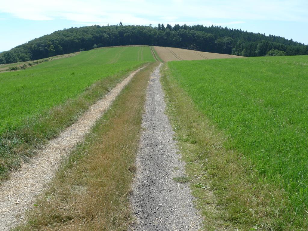 Alte Forsthaus Geisenheim