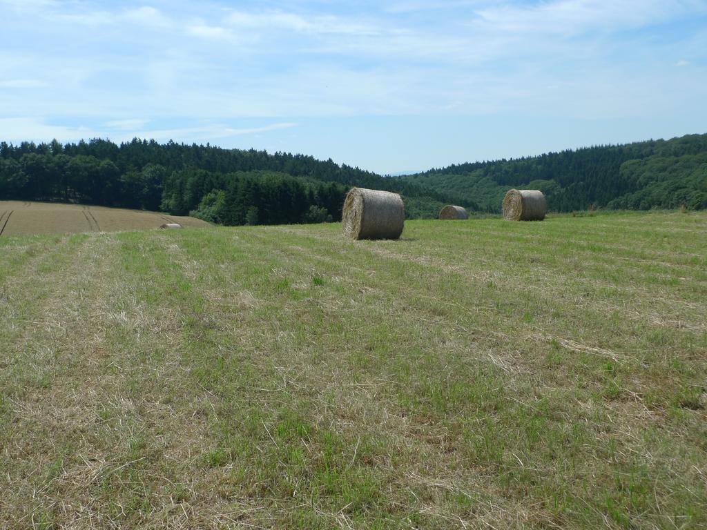 Das Alte Forsthaus * Geisenheim