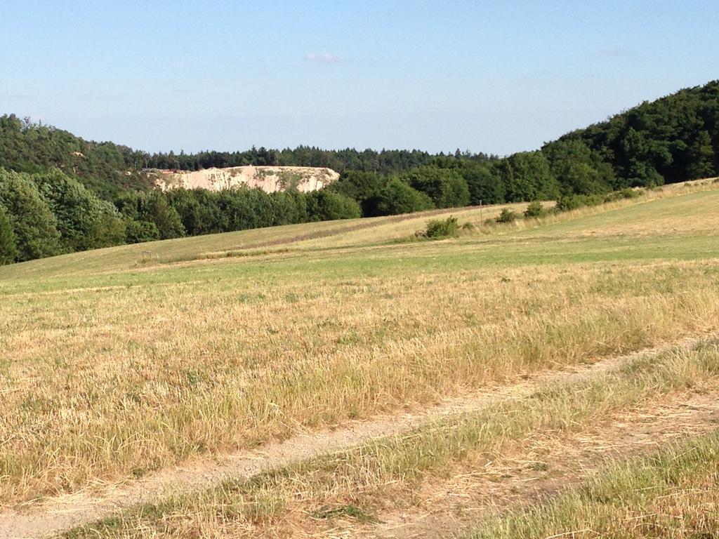 Appartement Das Alte Forsthaus Geisenheim